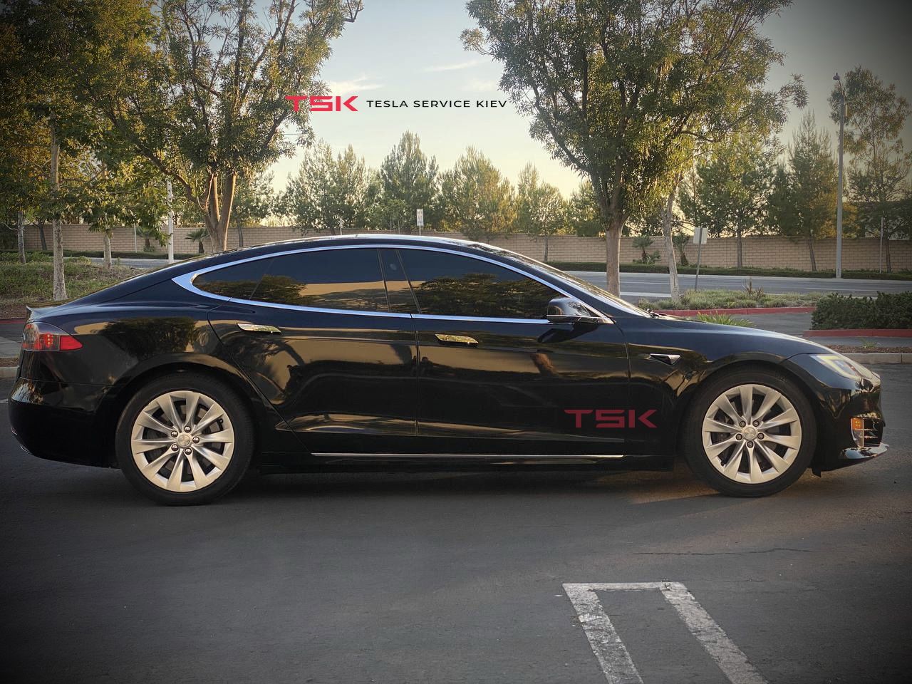 Tesla Model S 100 Dual Motor